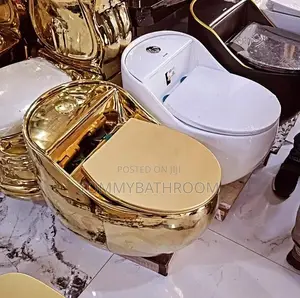 Smart Quality Water Closet With Original Flush System