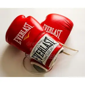 Red Everlast Boxing Gloves