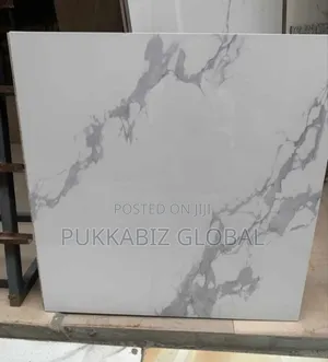 60 X 60 Floor Tiles