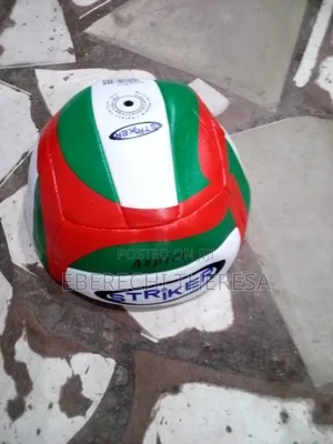 Striker Official Size Volleyball