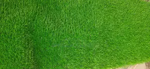 High Quality 20mm Artificial Grass