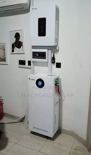 Srne 10kva/48v/15kwh Powerful Solar Inverter Installation