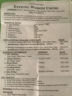 Ngo CV Opportunities