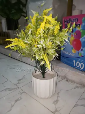 Flower Pots for TV Console Decorating