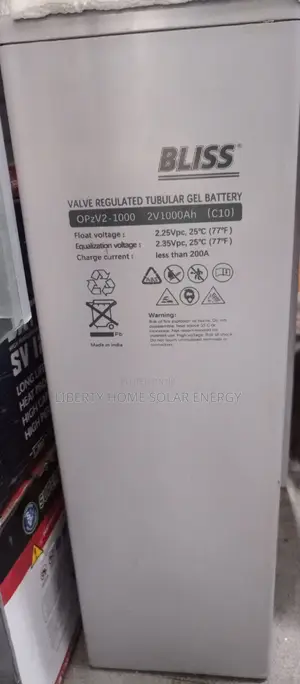 Bliss 2v/1000ah Battery