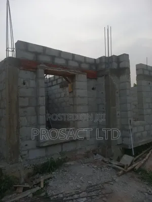 Construction Consultant