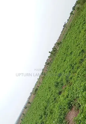 Uprooted Land for Sale Ready for Immediate Farming at Cheapa