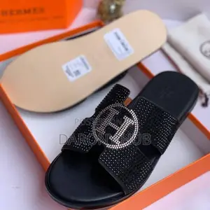 BEST Quality HERMES Unique CARTON Palm