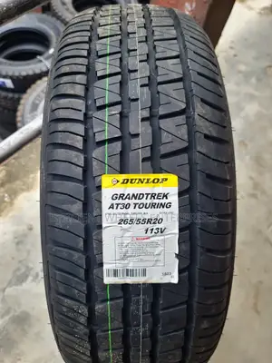 265/55r20 Dunlop