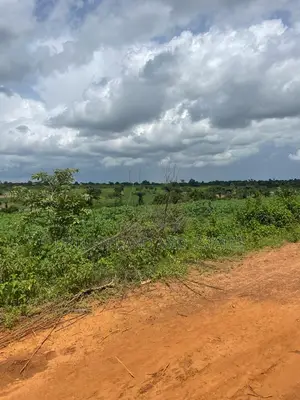 581 Acres on Lagos Ibadan Express Way at Cheaper Rate.