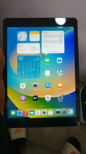 Apple iPad 10.2 (2019) 128 GB Gray