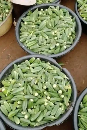 Seriously Buyers for Cc Cassava,Okra,