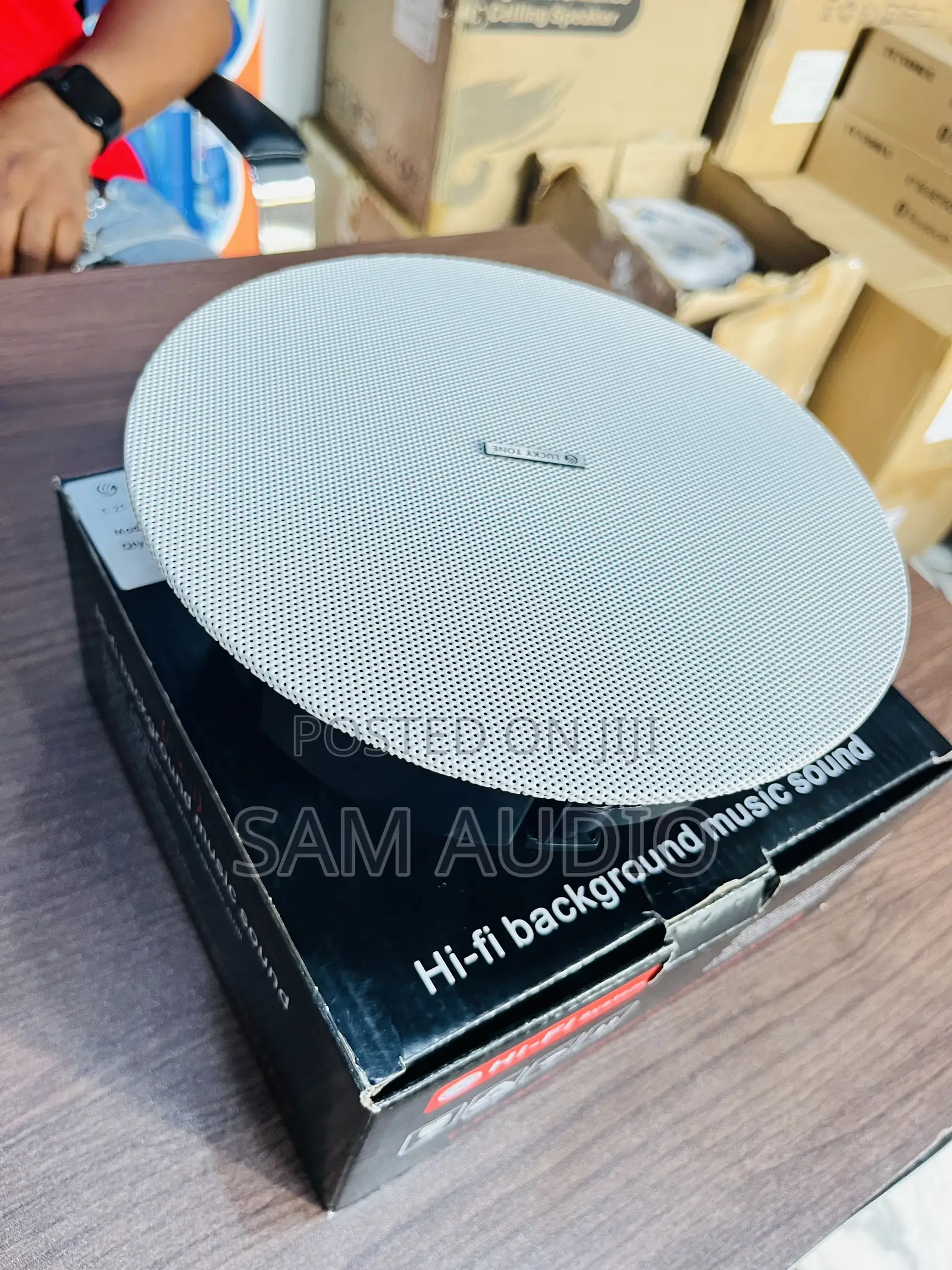 Lucky Tone Frameless Ceiling Speaker