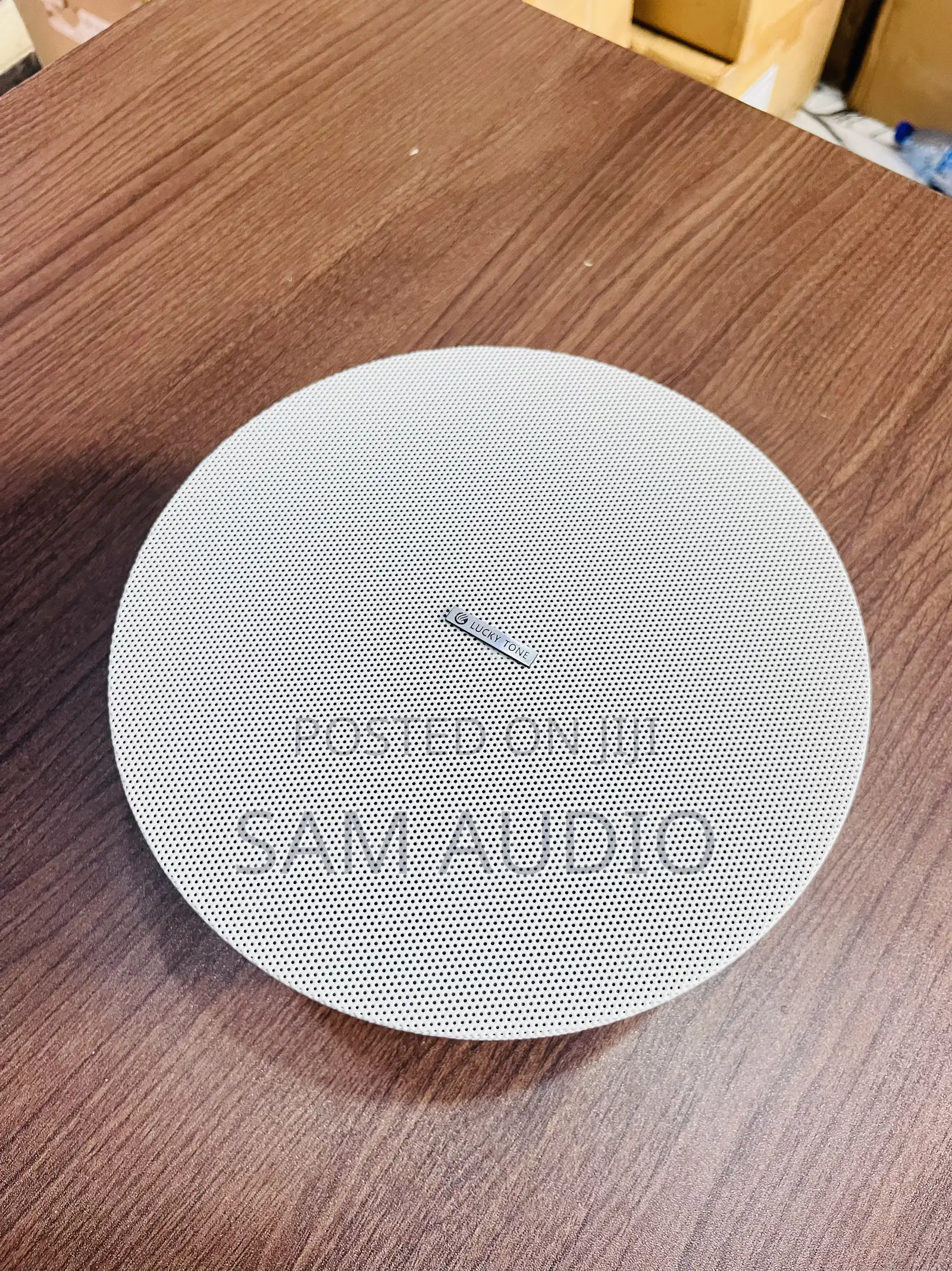 Lucky Tone Frameless Ceiling Speaker
