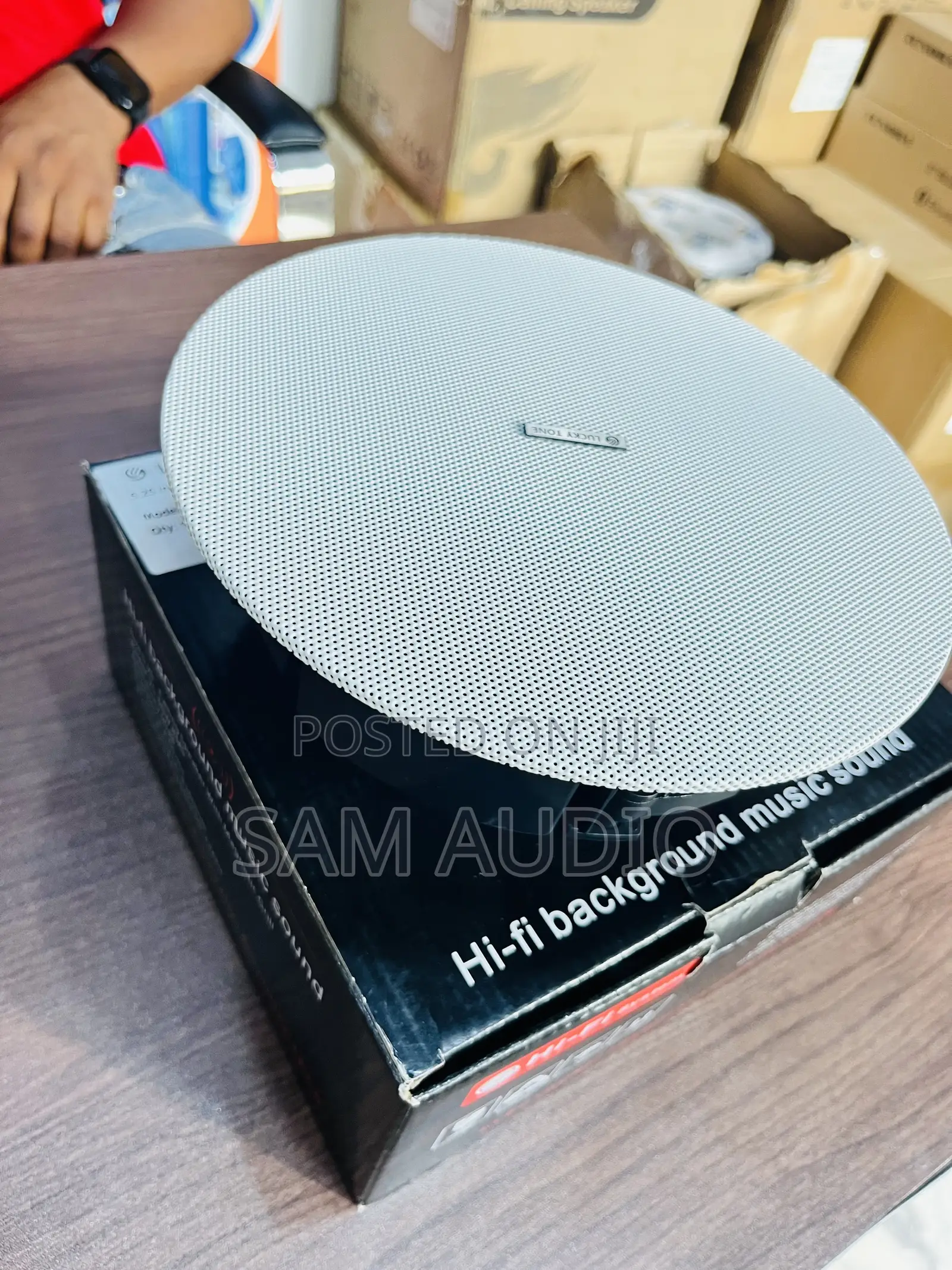 Lucky Tone Frameless Ceiling Speaker