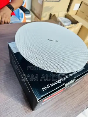 Lucky Tone Frameless Ceiling Speaker