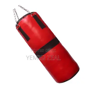 Big Size Everlast Punching Bag