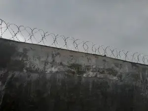 Hot Dipped Galvanise Security Fence Wire