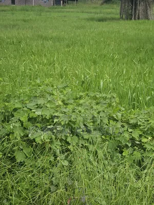 Mass Housing Land Lokogoma Abuja