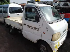 Suzuki Truck 2019 White