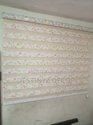 Homely Window Blinds