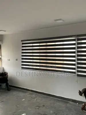 Multi Functional Window Blinds