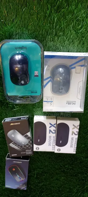 Wireless Mouse and Rechargeable Mouse