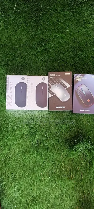 Wireless Mouse and Rechargeable Mouse
