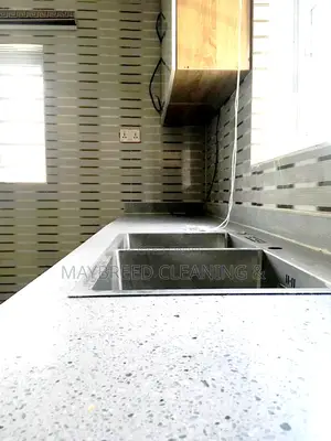 Satisfying House Cleaning Serviceee