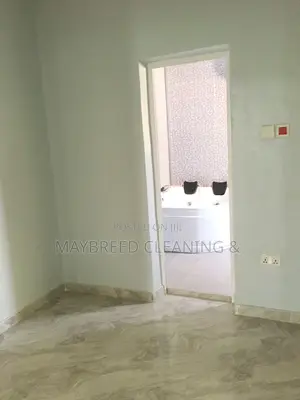 Move_in Cleaninng