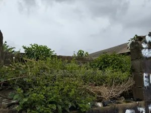 Half Plot of Land in a Very Decent Area