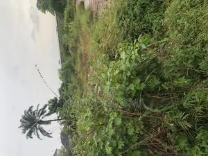Land at New Kenyetta
