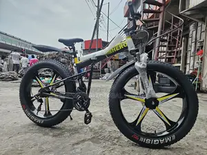 Big Tyre Bicycle With Alloyed Rim S90