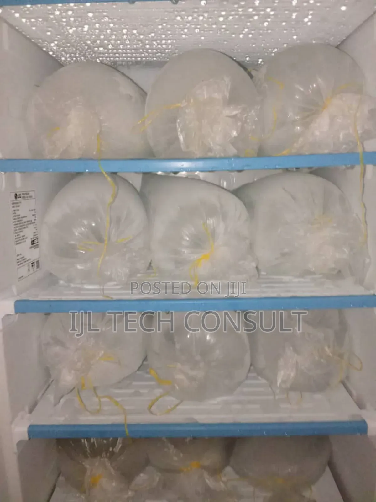 Party Iced Block