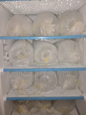Party Iced Block