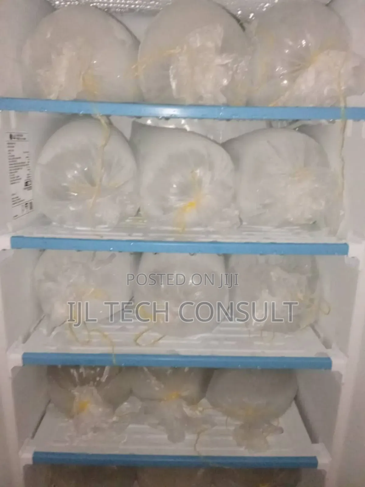 Party Iced Block