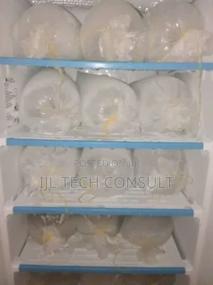 Party Iced Block