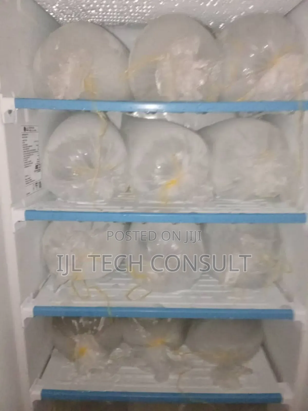 Party Iced Block