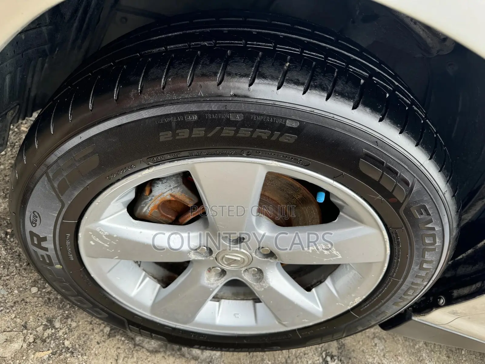 Lexus RX 330 2006 Silver