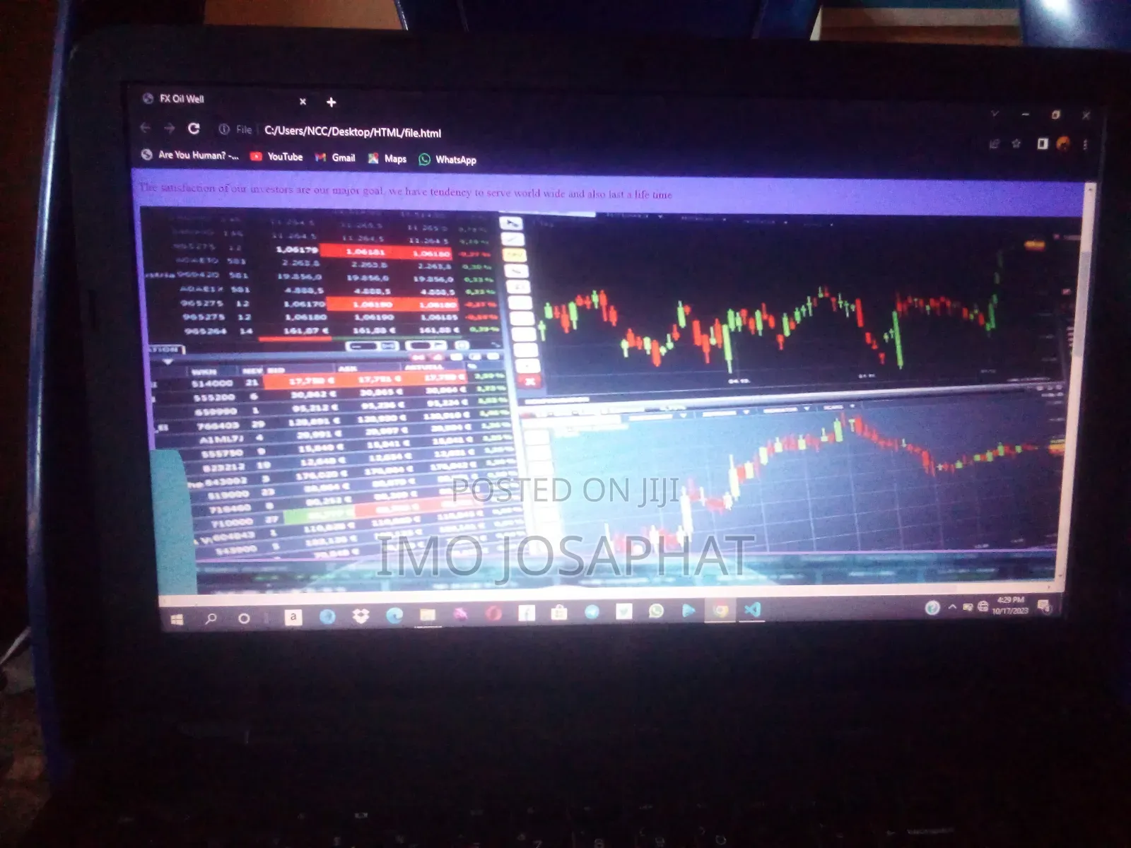 Ready Made Investment Website for Sale