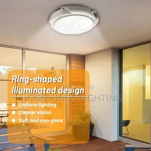 Solar LED Ceiling Light Indoor Balcony Garden Ceiling Light