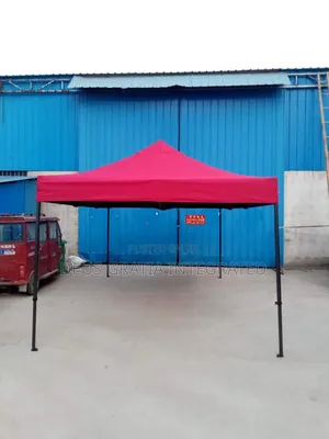 10 By 10 Foldable Gazebo Tent