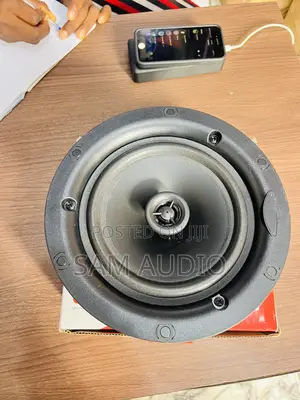 30watts Frameless Ceiling Speaker