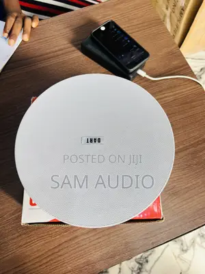 30watts Frameless Ceiling Speaker