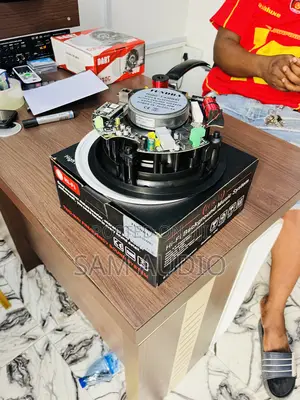 Tundra Wi-Fi Ceiling Speaker