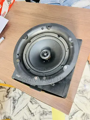 Tundra Wi-Fi Ceiling Speaker