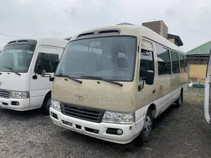 Toyota Coaster 2010 Beige