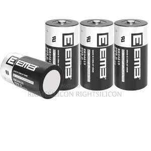 USA 1X Eemb Er34615 D Cell Battery 3.6V 19ah Lithium Battery