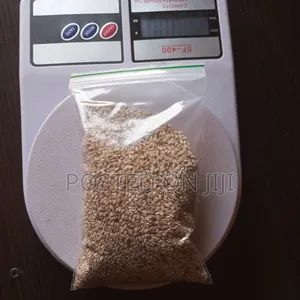 Sesame Seeds 100g