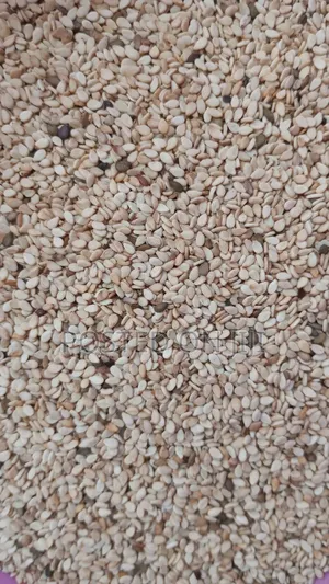 Sesame Seeds 100g